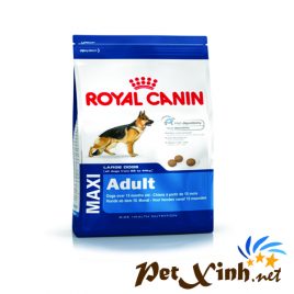 royal canin maxi aldult