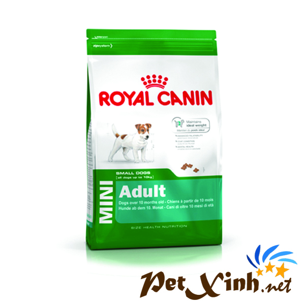 royal canin mini aldults