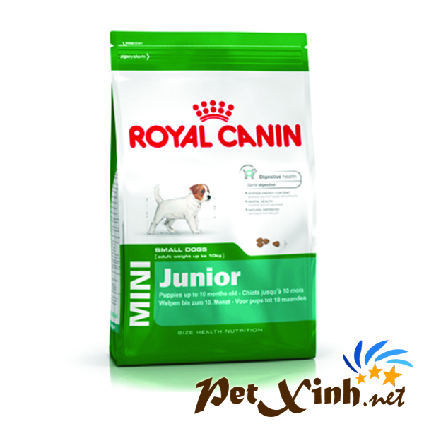 royal canin mini junior