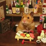 hamster ăn sushi