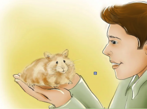 Cách huấn luyện hamster chạy đến bên bạn khi bạn gọi chúng 17