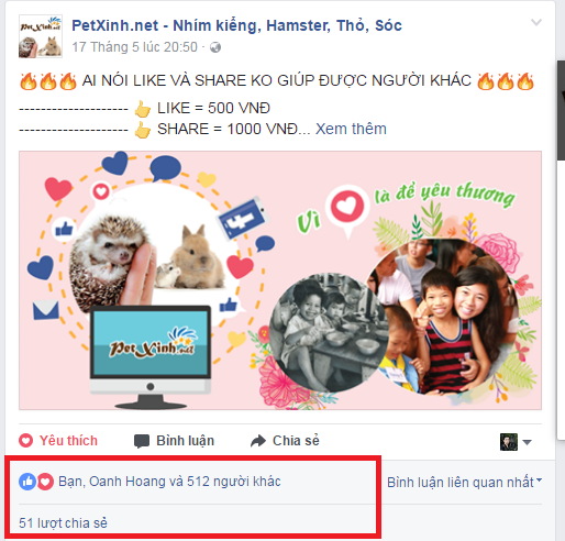 PetXinh.net đi thăm và tặng quà cho trẻ em mồ côi 3 Chương trình tình nguyện được rất nhiều bạn ủng hộ