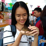 PetXinh tại hội chợ thú cưng Lozi 20