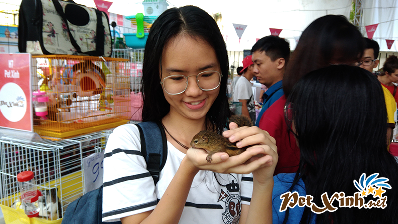 PetXinh tại hội chợ thú cưng Lozi 20