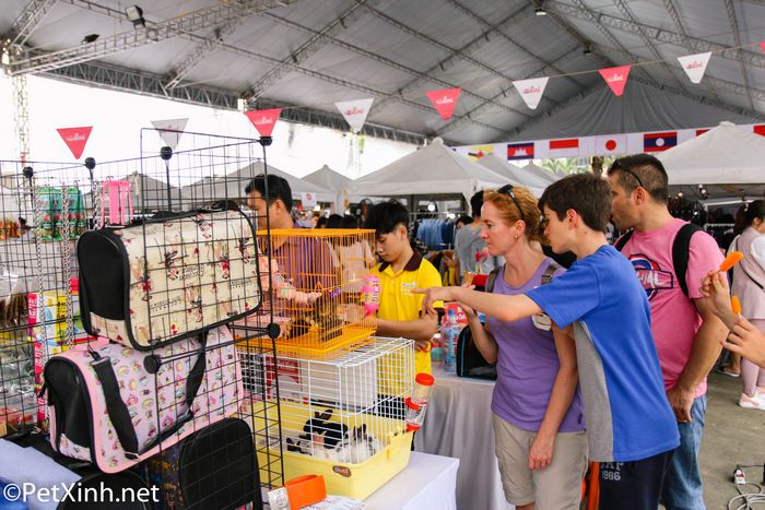 PetXinh tại hội chợ thú cưng Lozi 1