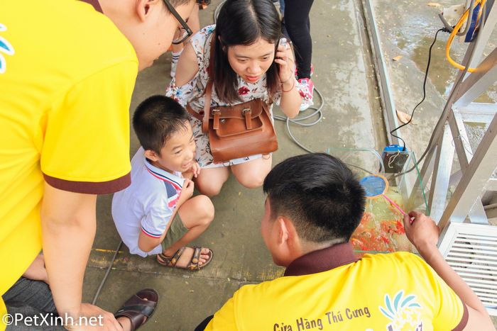 PetXinh tại hội chợ thú cưng Lozi 13