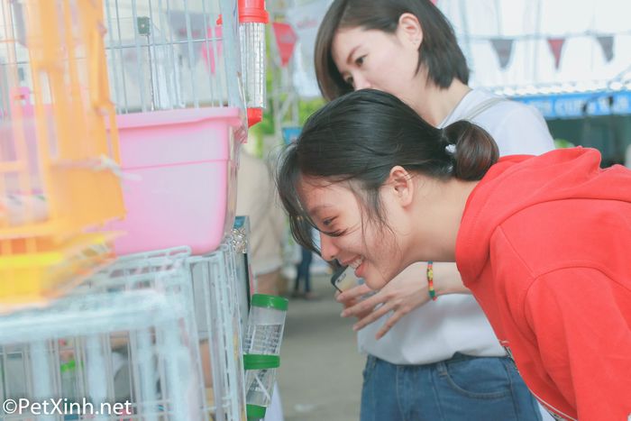 PetXinh tại hội chợ thú cưng Lozi 3