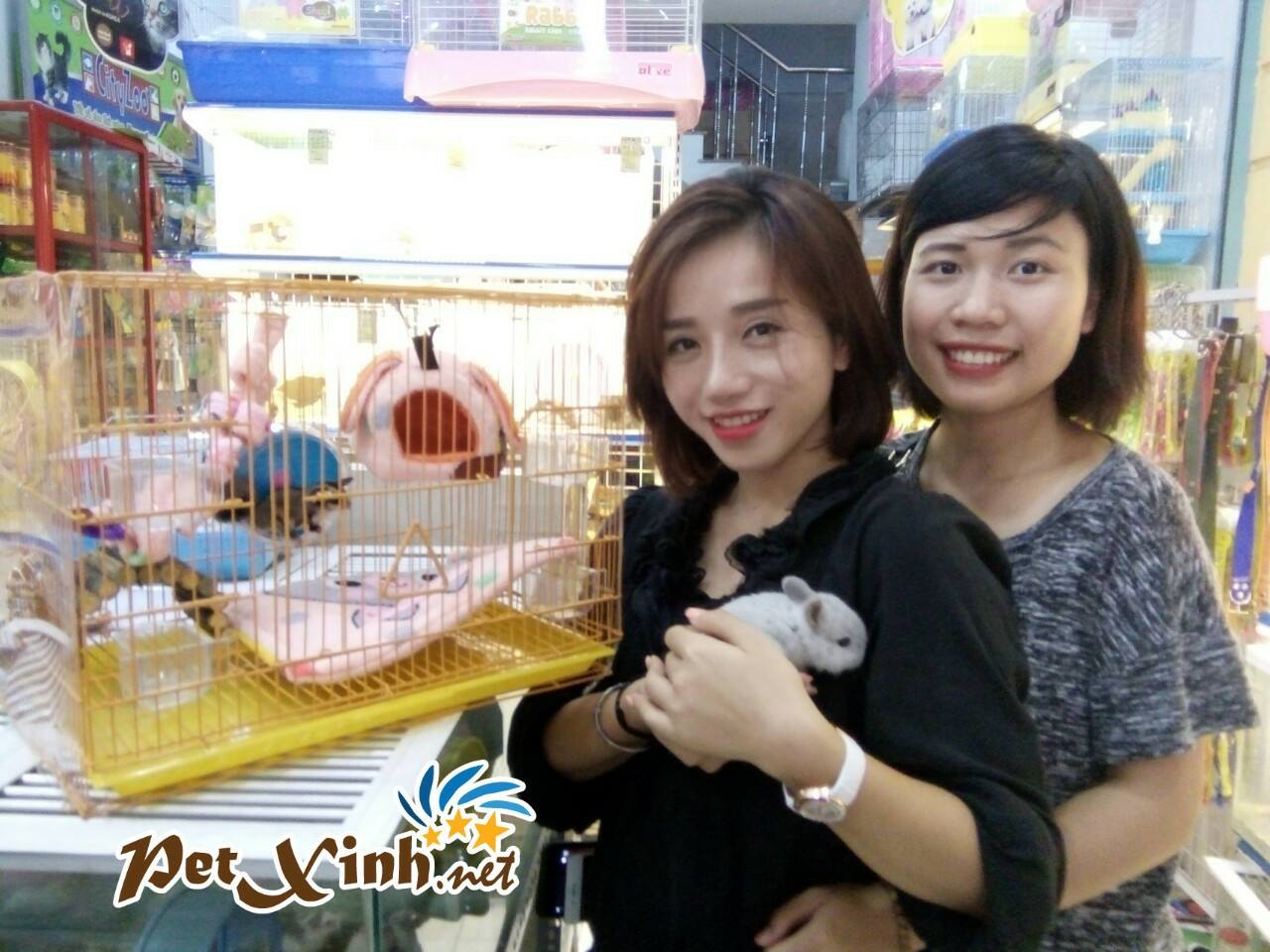 Thỏ lùn Hà Lan 7