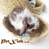 nhà rơm hình dép 2