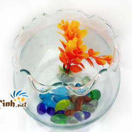 hồ cá hình tròn
