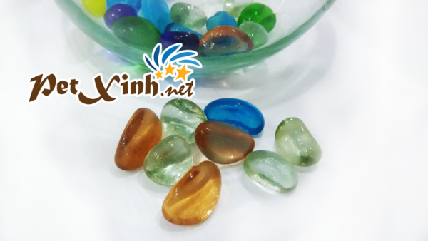 sỏi thủy tinh bỏ hồ cá