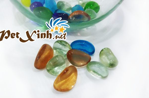 sỏi thủy tinh bỏ hồ cá