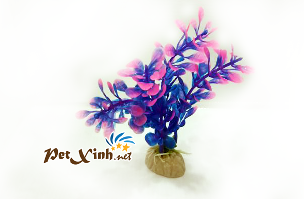 rong nhựa cho hồ cá