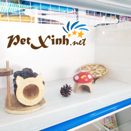 hồ mica laphong lớn