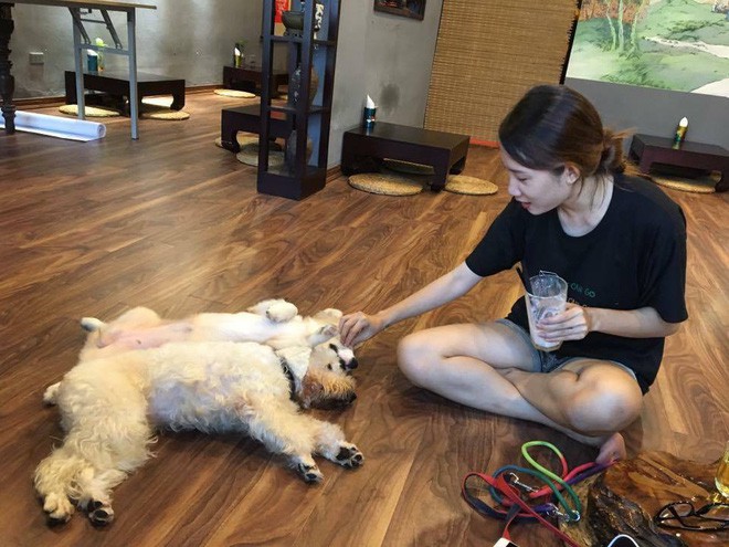 Thoái kiếp FA nhờ nuôi chó