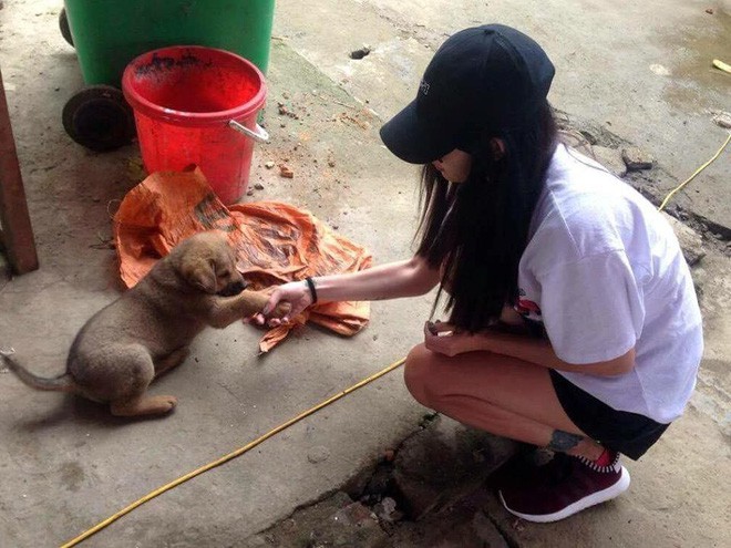 Thoái kiếp FA nhờ nuôi chó