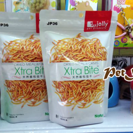 sâu superworm jolly xtra bite