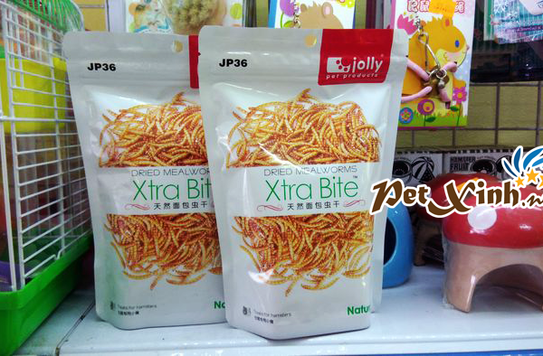 sâu superworm jolly xtra bite