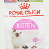 royal canin kitten