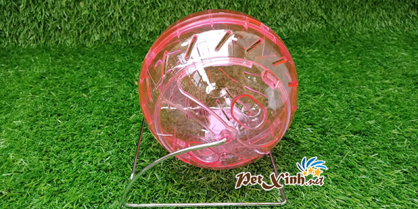 banh chạy cho hamster