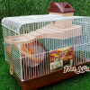lồng hamster nhà máy sô cô la