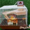 lồng hamster nhà máy sô cô la