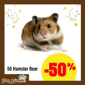 hamster petxinh tân phú