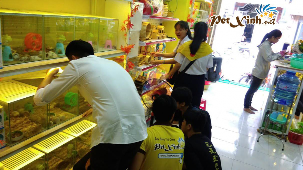 Khai trương chi nhánh PetXinh Tân Phú 22