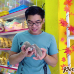Khai trương chi nhánh PetXinh Tân Phú 21