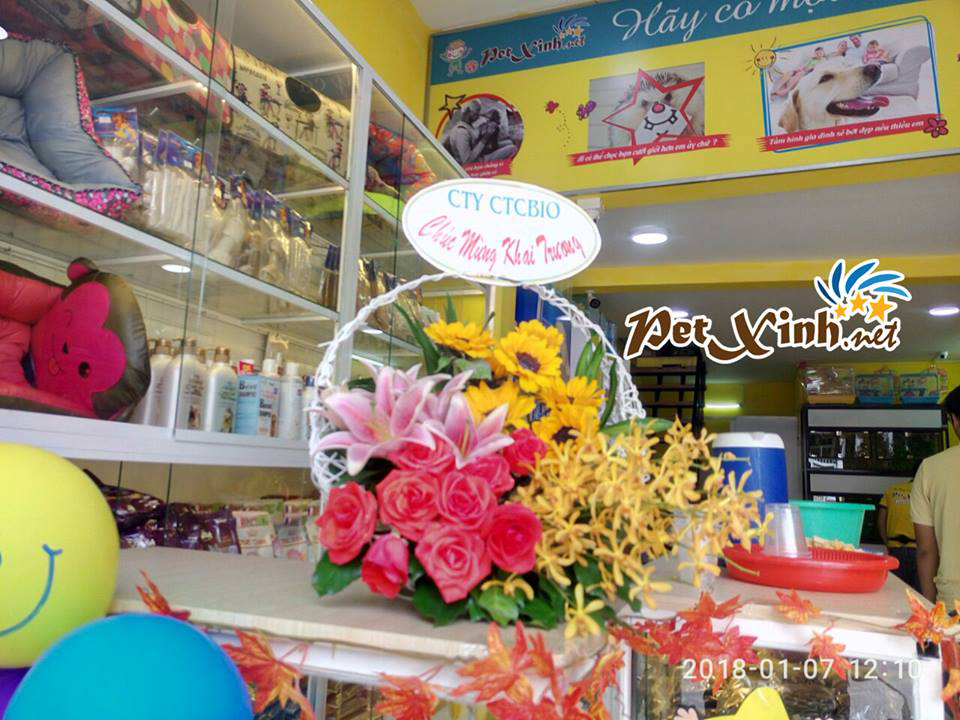 Khai trương chi nhánh PetXinh Tân Phú 2