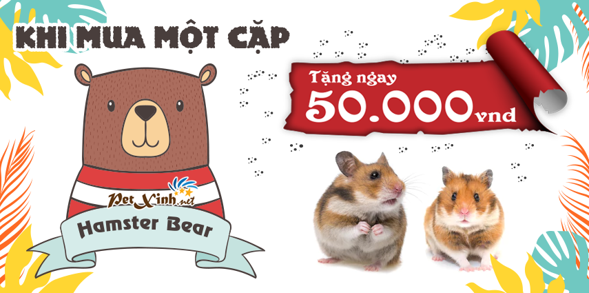 Mua "Gấu" khuyến mãi cực Gấu 5