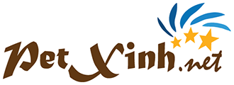 logo nhím kiểng petxinh