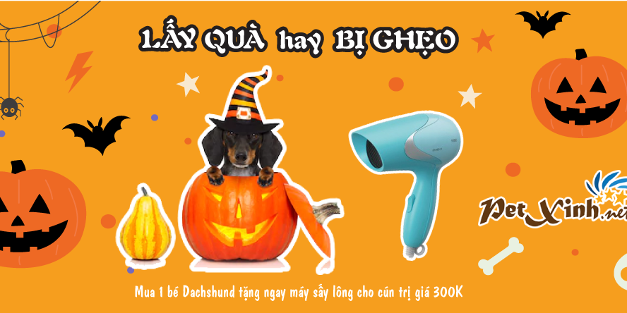 Halloween ghé PetXinh rinh quà 4