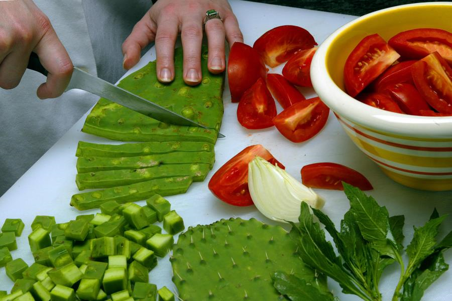 Xương rồng tai thỏ 3