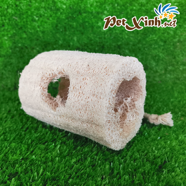 Khúc cây sơ mướp