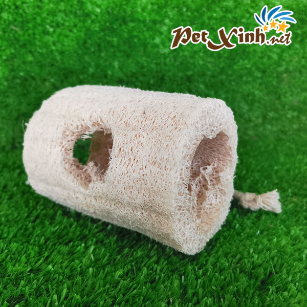 Khúc cây sơ mướp