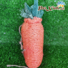 Sơ mướp hình cà rốt