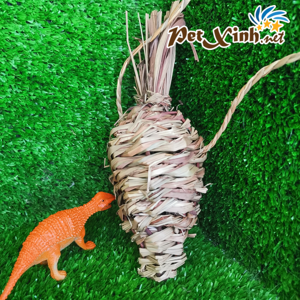 cà rốt bằng cỏ