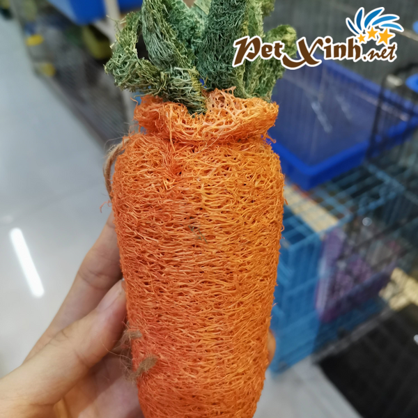 Sơ mướp hình cà rốt