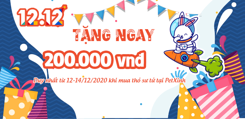 Mua thỏ sư tử tặng 200k