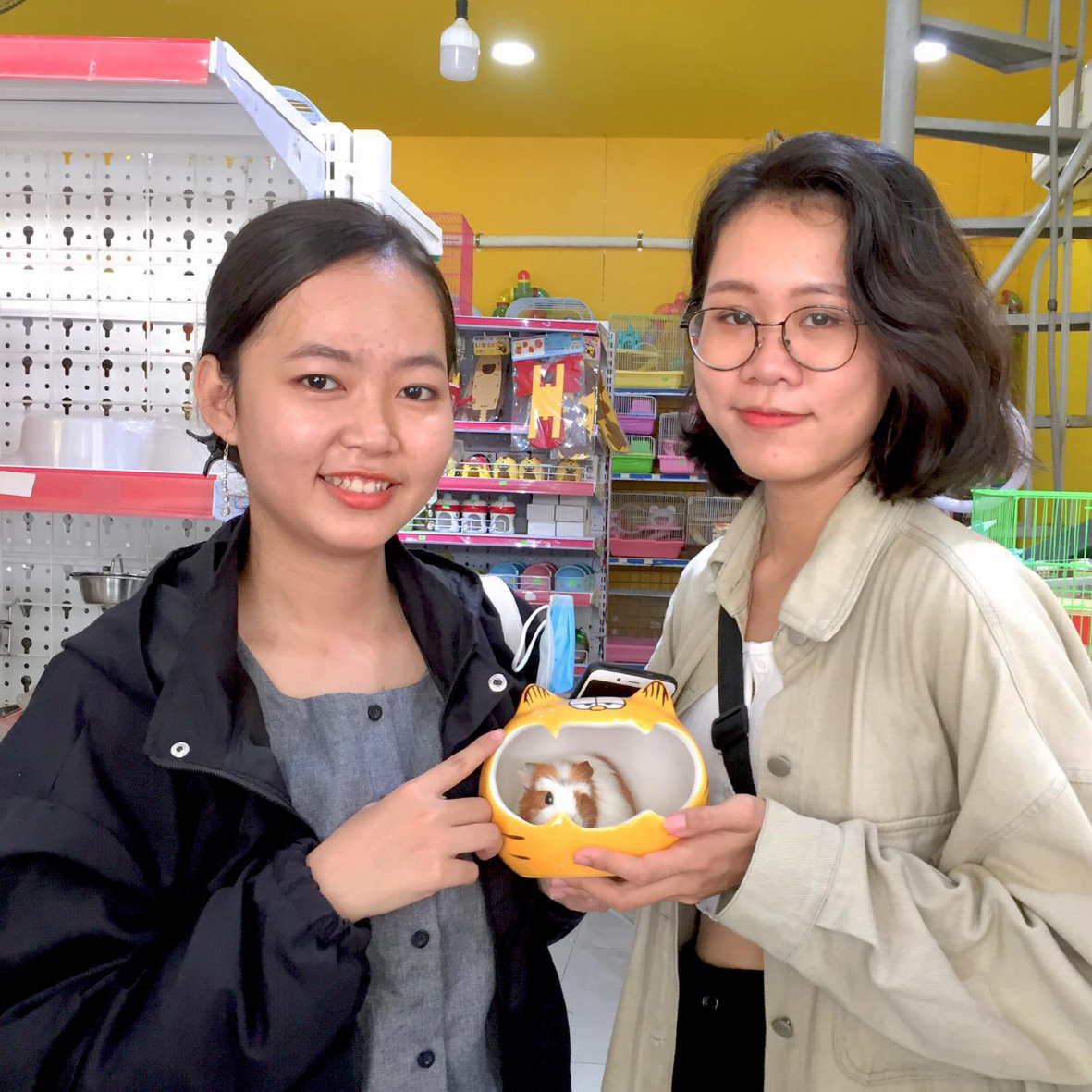 PetXinh - shop thú cưng uy tín Gò Vấp, Tp.HCM 19