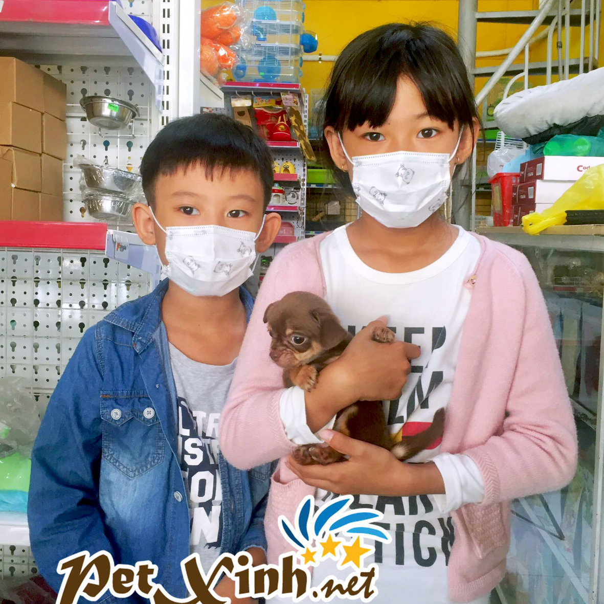 PetXinh - shop thú cưng uy tín Gò Vấp, Tp.HCM 22