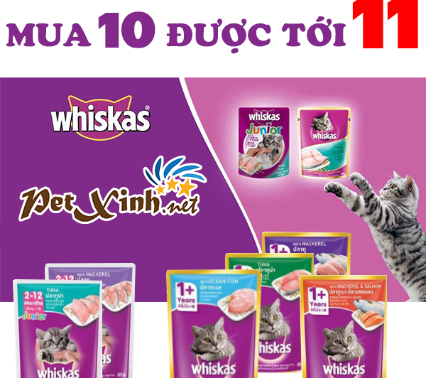 Mua 10 được tới 11 2