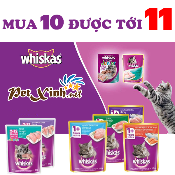 Mua 10 được tới 11 1 Mua 10 được tới 11 1