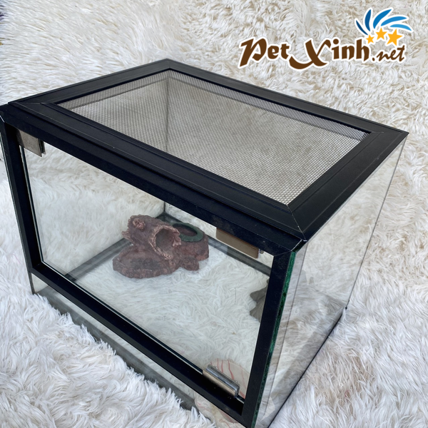 Hồ kính cao cấp
