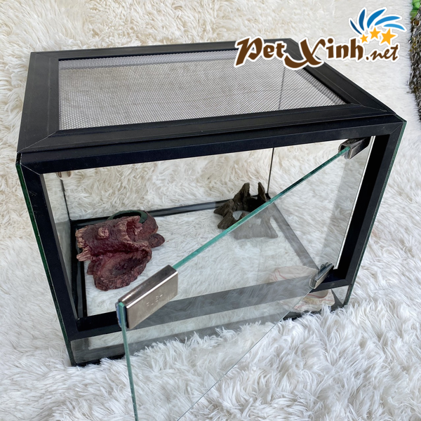 Hồ kính cao cấp