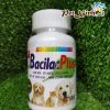 Tăng cường miễn dịch BacilacPlus