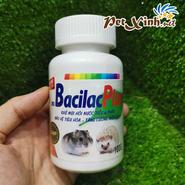 Tăng cường miễn dịch BacilacPlus