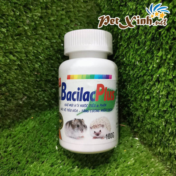 Tăng cường miễn dịch BacilacPlus