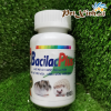 Tăng cường miễn dịch BacilacPlus